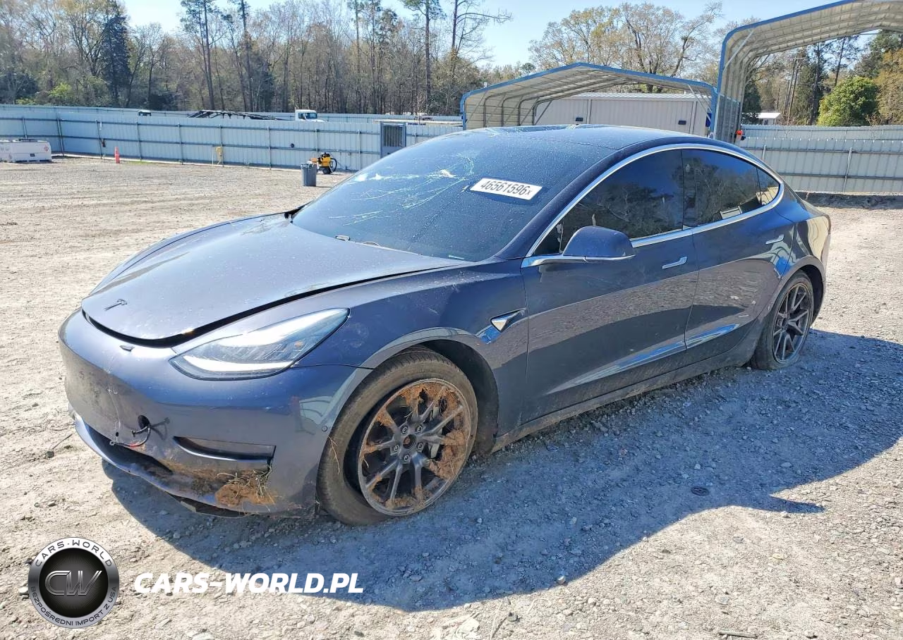 2019 Tesla Model 3