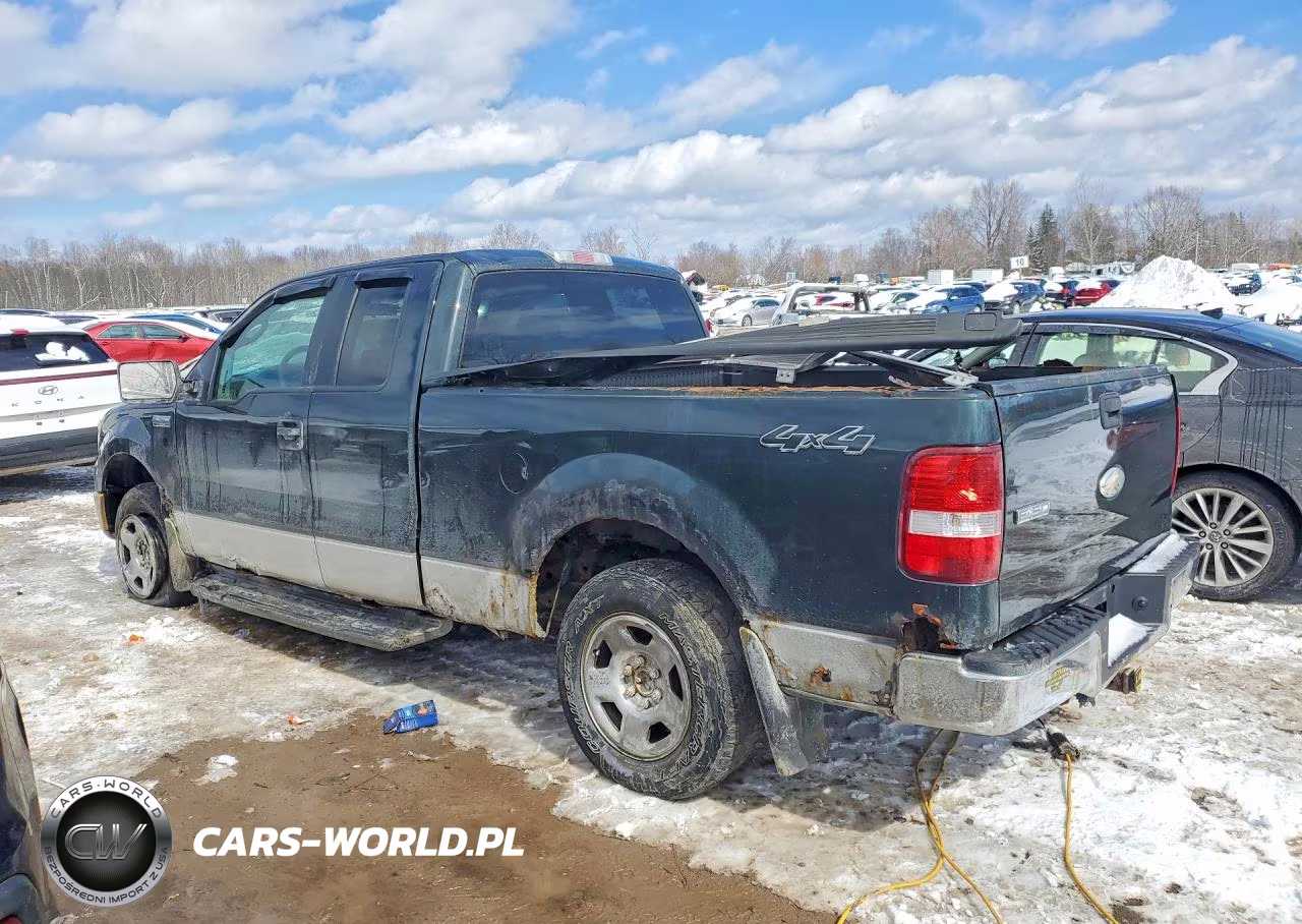 2006 Ford F150 VIN:1FTPX14556NB02993 - 2