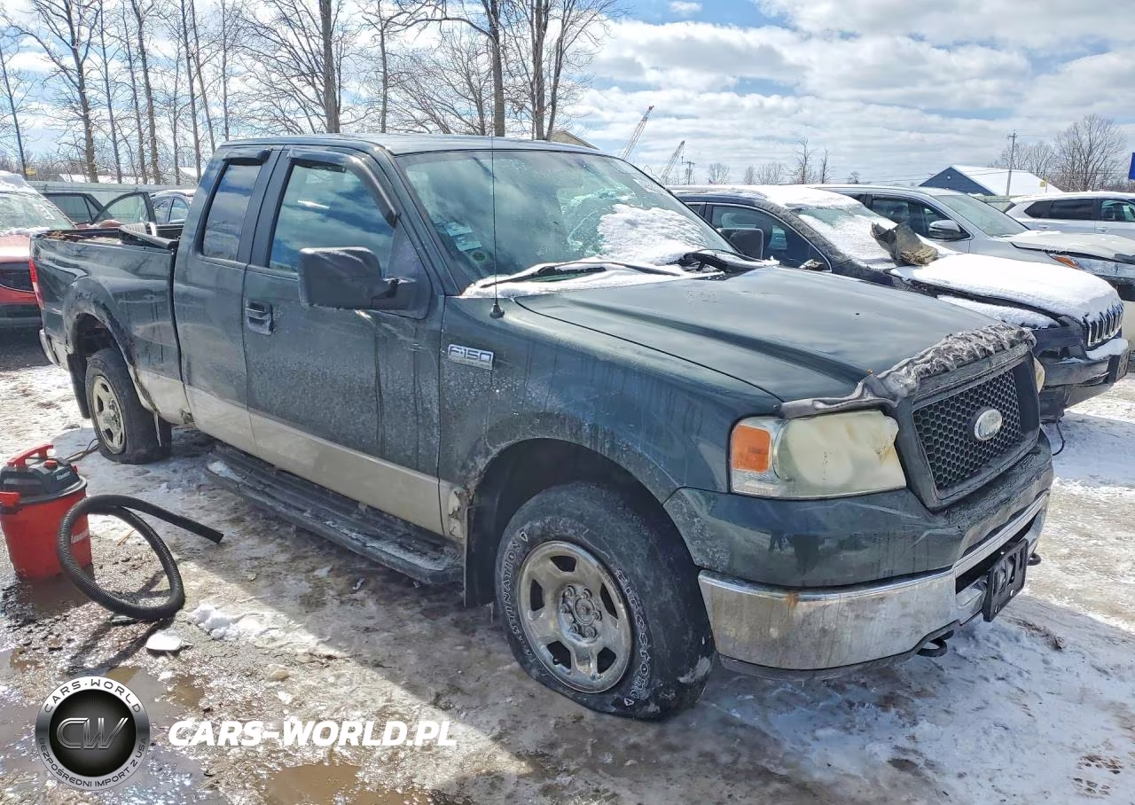 2006 Ford F150 VIN:1FTPX14556NB02993 - 4