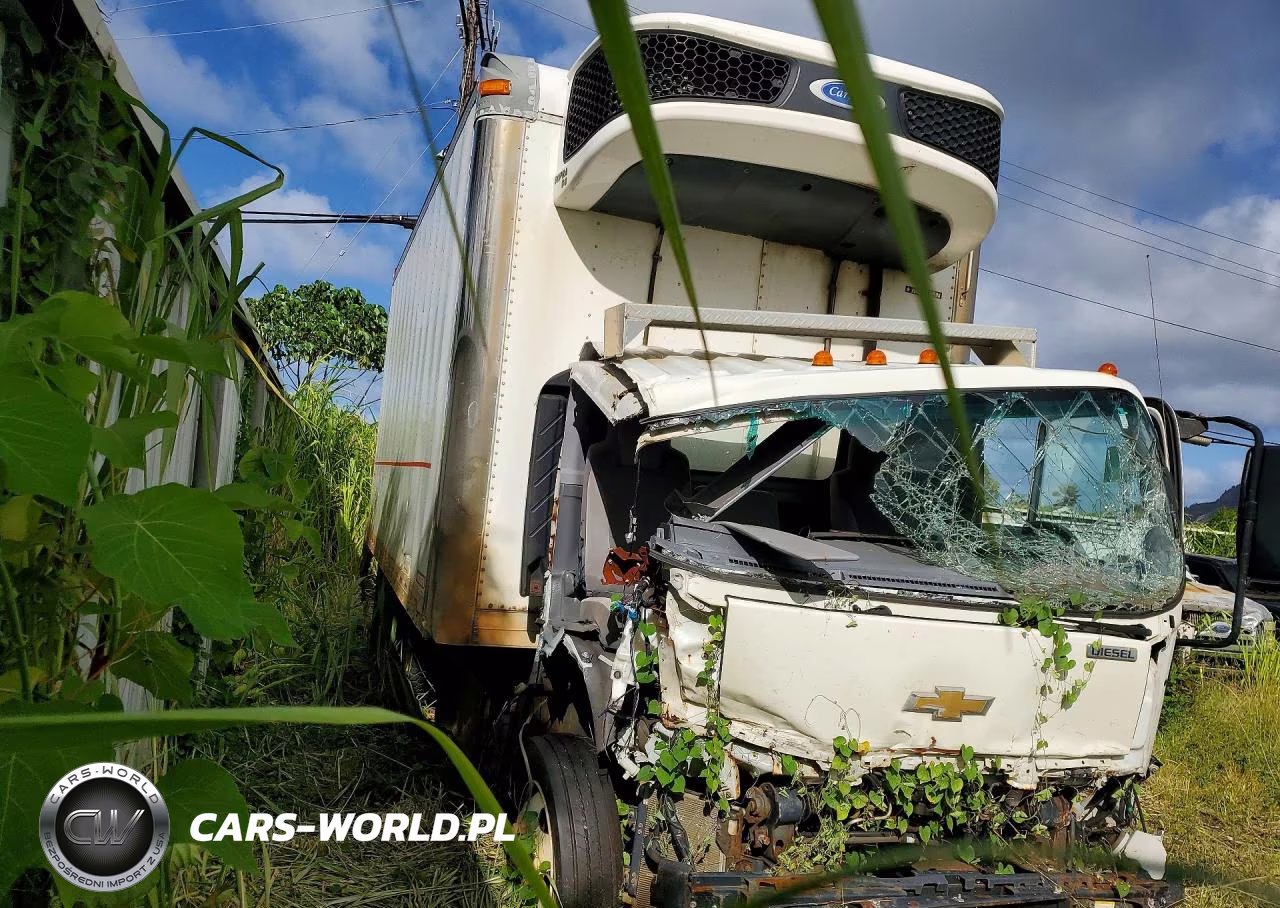 2020 Chevrolet 5500Hd VIN:JALEEW169L7900404 - 4