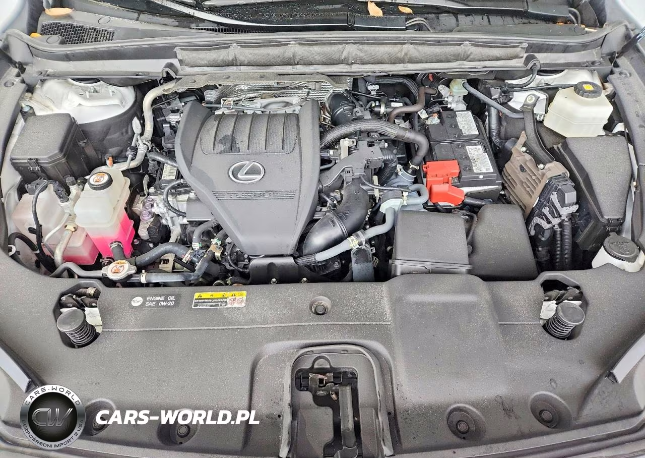 2023 Lexus Rx 350 Base VIN:2T2BAMBA3PC019091 - 11
