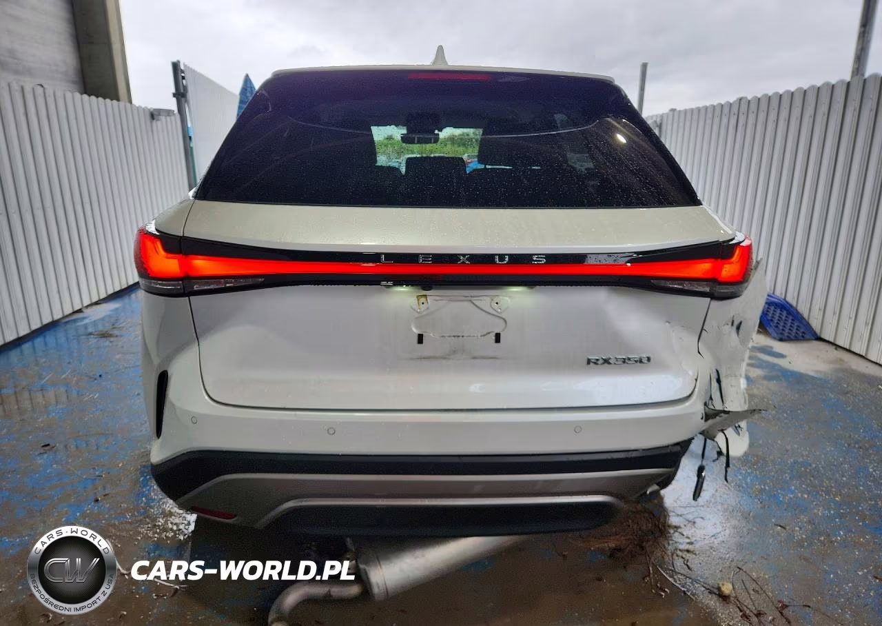 2023 Lexus Rx 350 Base VIN:2T2BAMBA3PC019091 - 6