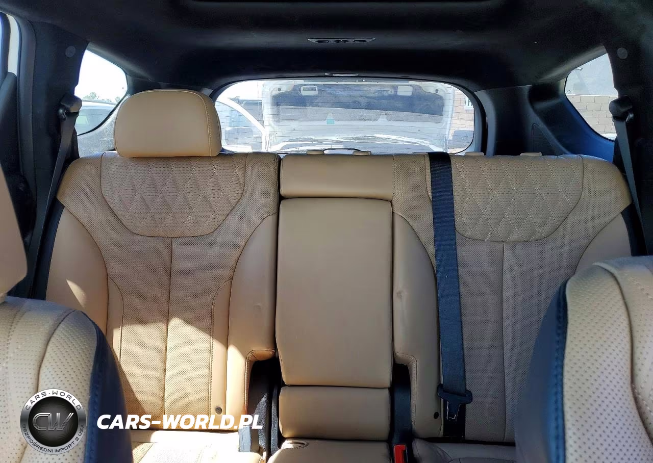2023 Hyundai Santa Fe Calligraphy VIN:5NMS5DAL5PH640032 - 10