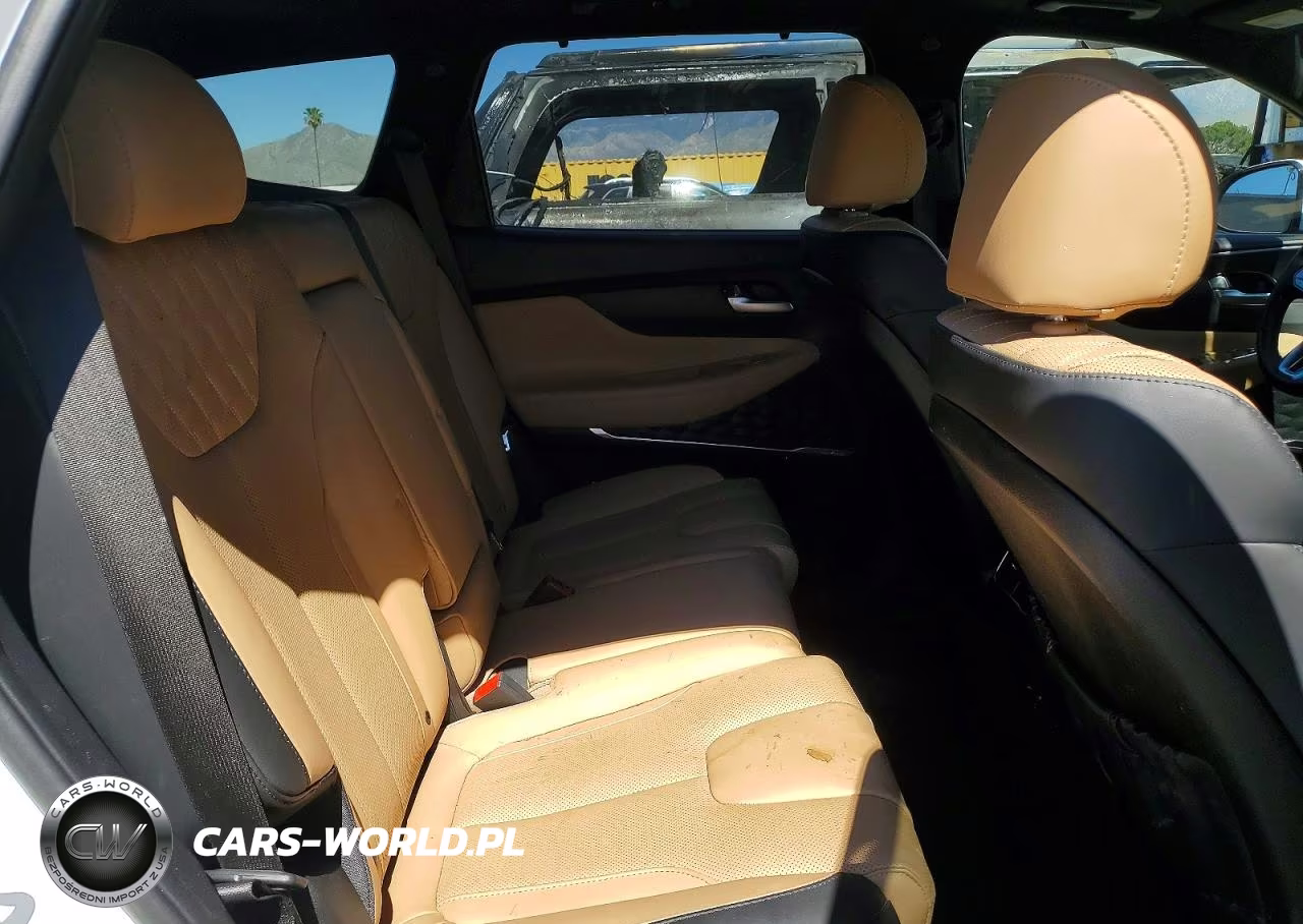 2023 Hyundai Santa Fe Calligraphy VIN:5NMS5DAL5PH640032 - 11