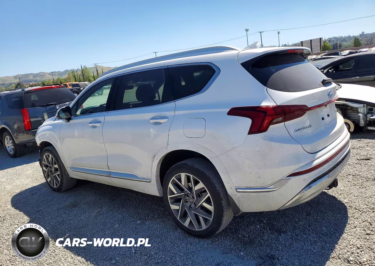 2023 Hyundai Santa Fe Calligraphy VIN:5NMS5DAL5PH640032 - 2