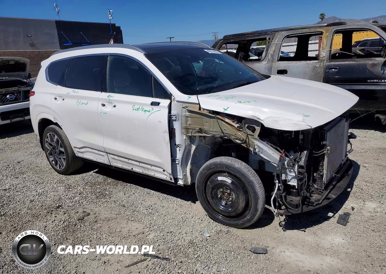 2023 Hyundai Santa Fe Calligraphy VIN:5NMS5DAL5PH640032 - 4