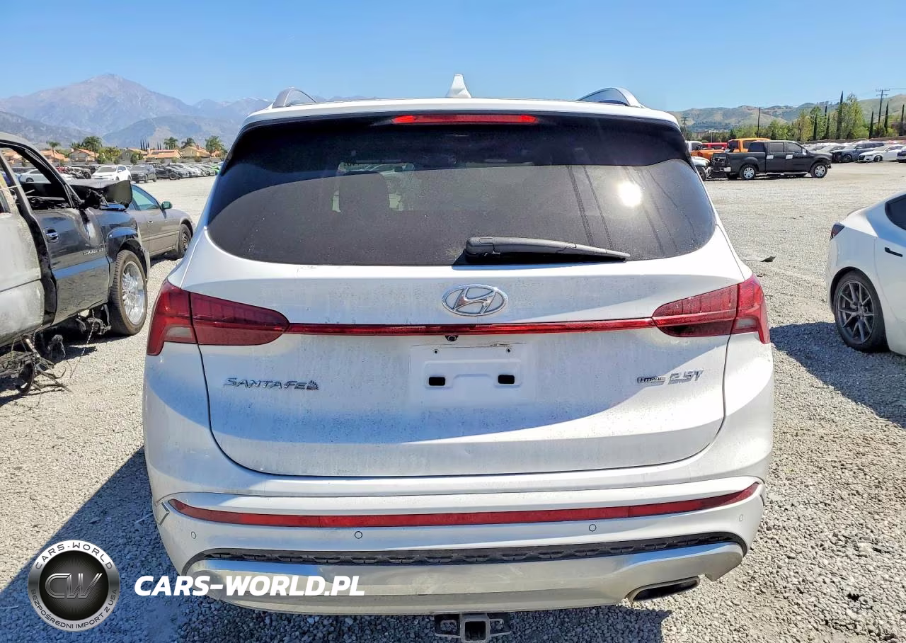 2023 Hyundai Santa Fe Calligraphy VIN:5NMS5DAL5PH640032 - 6