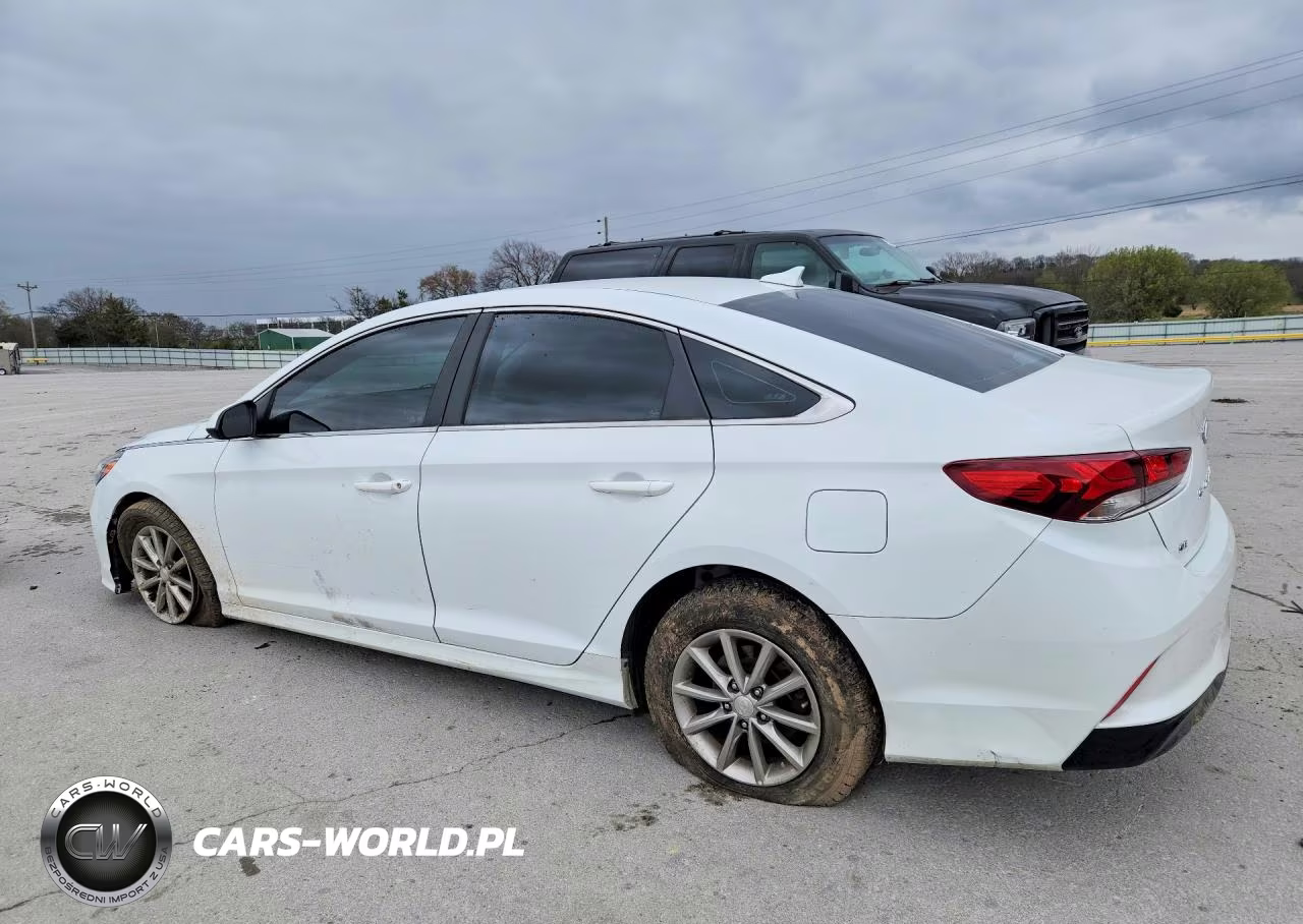 2019 Hyundai Sonata Se VIN:5NPE24AF2KH807104 - 2
