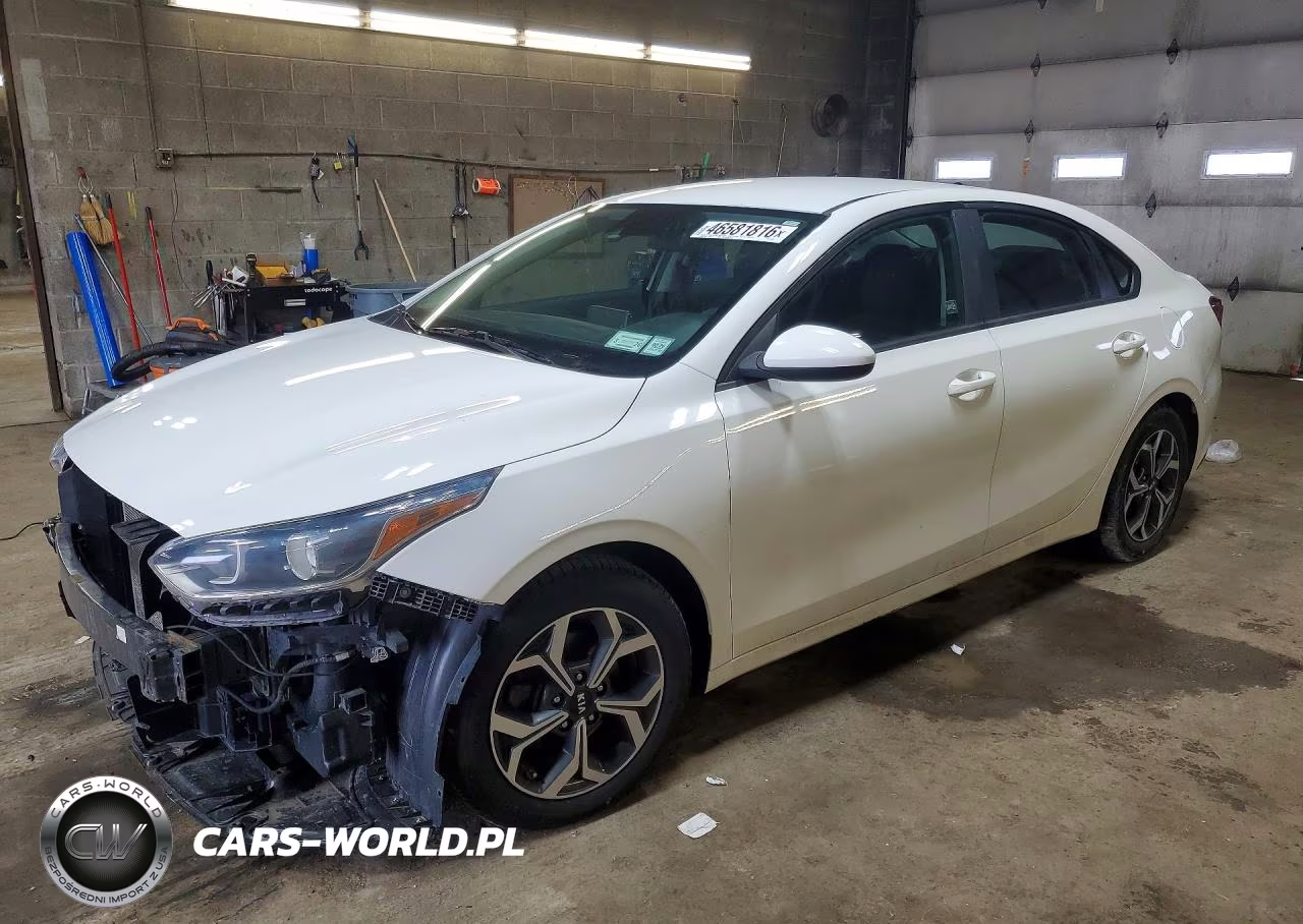 2019 Kia Forte Lxs