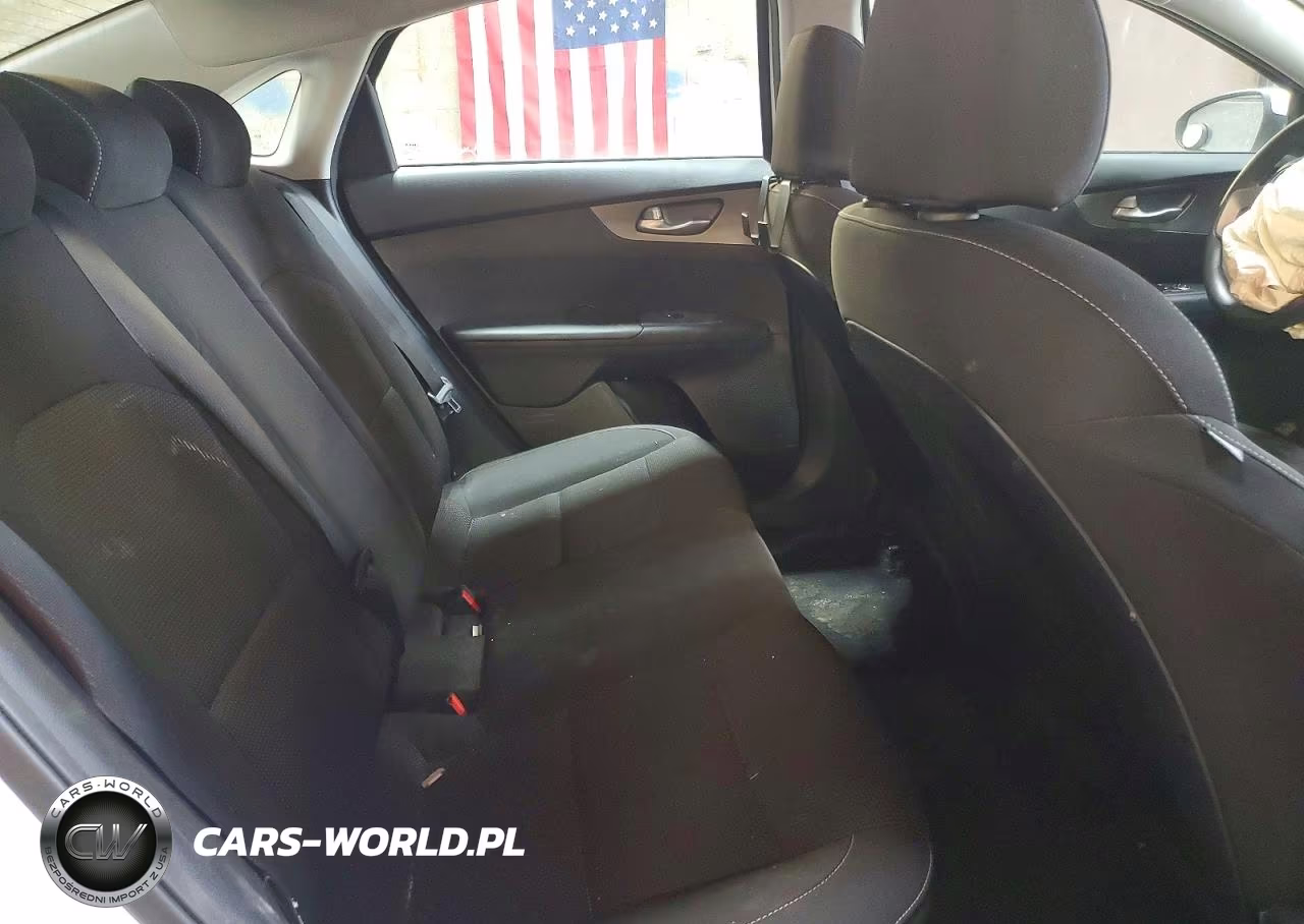 2019 Kia Forte Lxs VIN:3KPF24AD4KE030089 - 10