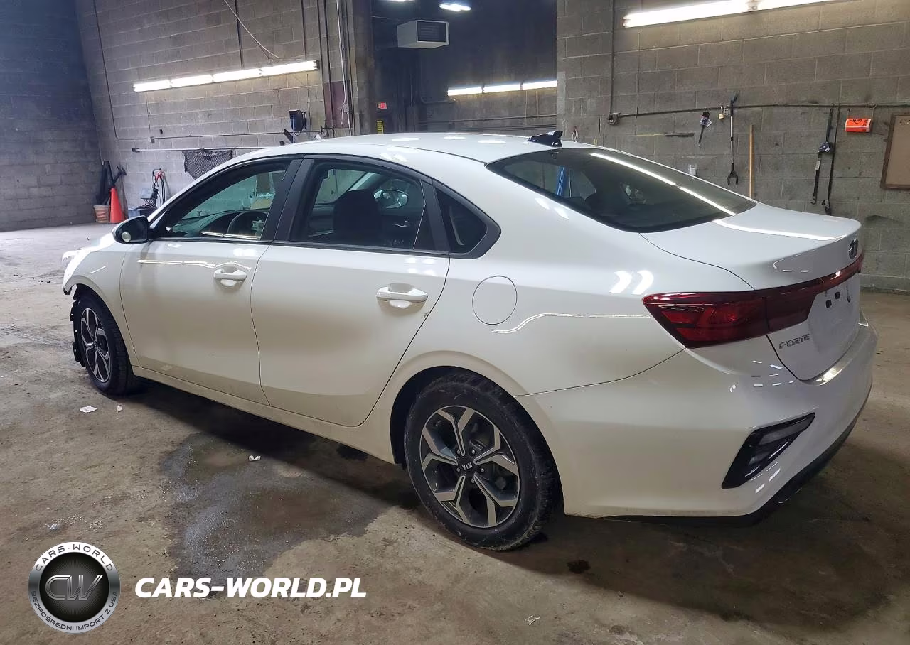 2019 Kia Forte Lxs VIN:3KPF24AD4KE030089 - 2