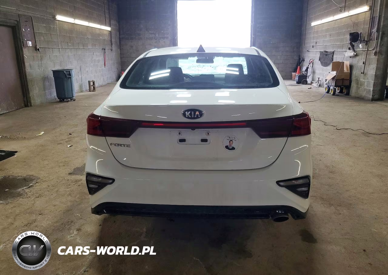 2019 Kia Forte Lxs VIN:3KPF24AD4KE030089 - 6