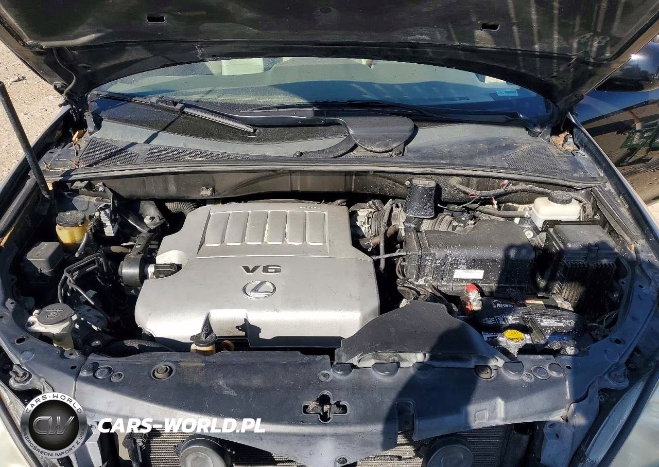 2007 Lexus Rx 350 Base VIN:2T2GK31U27C018152 - 12
