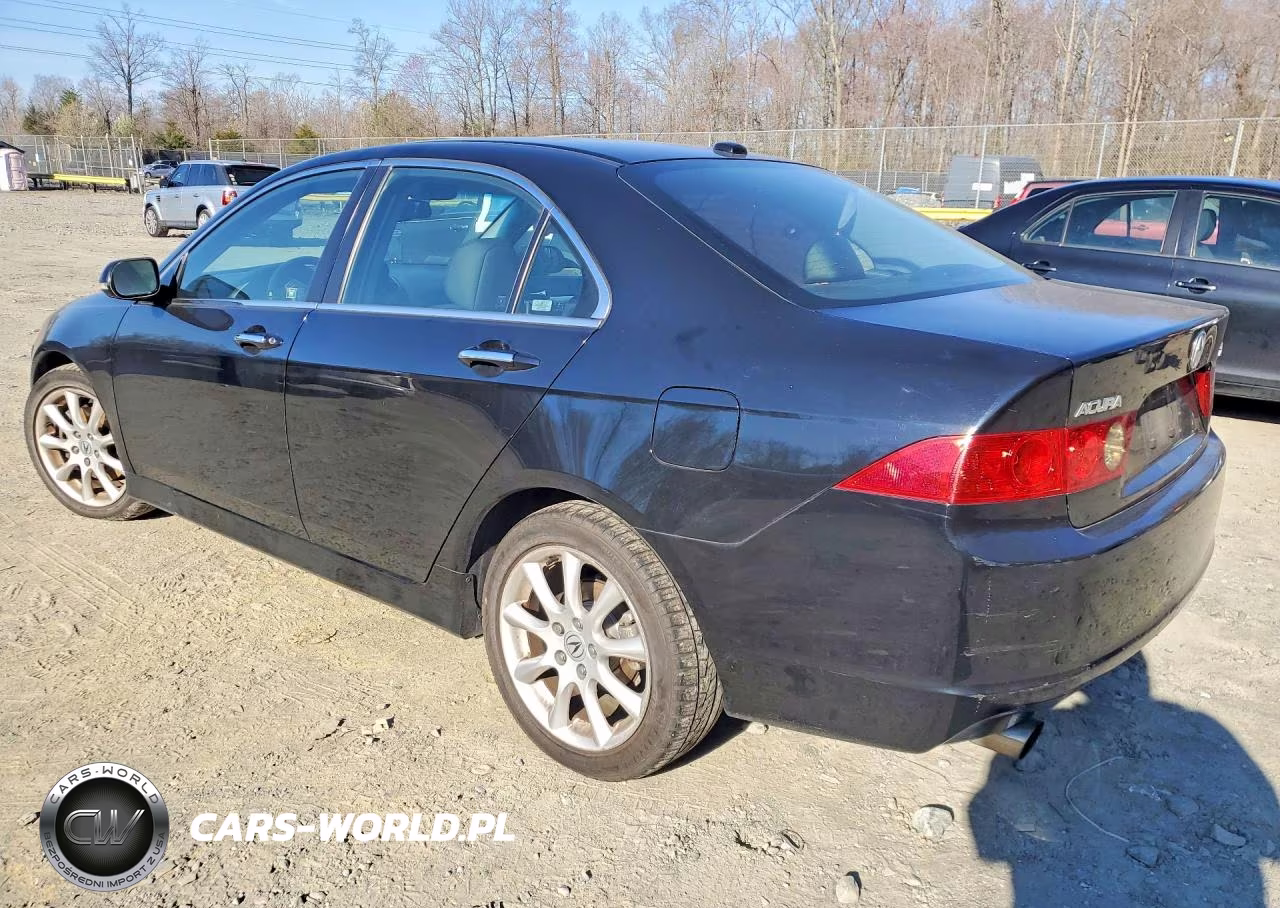 2006 Acura Tsx VIN:JH4CL95826C031487 - 2