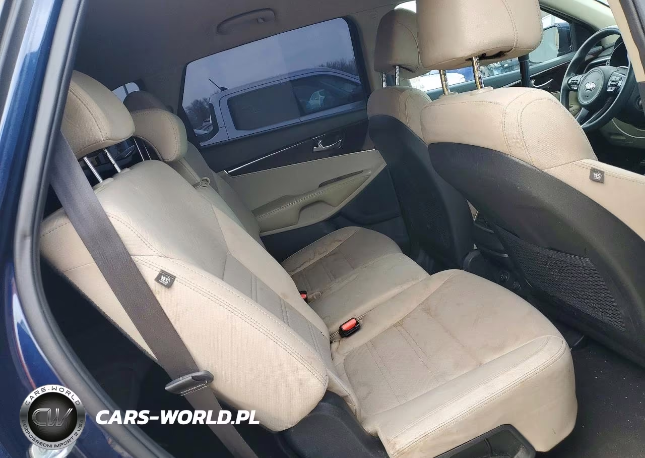 2017 Kia Sorento Lx V6 VIN:5XYPG4A58HG228569 - 10