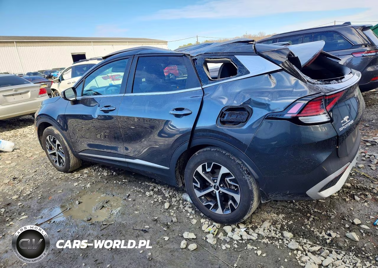 2024 Kia Sportage Ex VIN:5XYK3CDF7RG147004 - 2