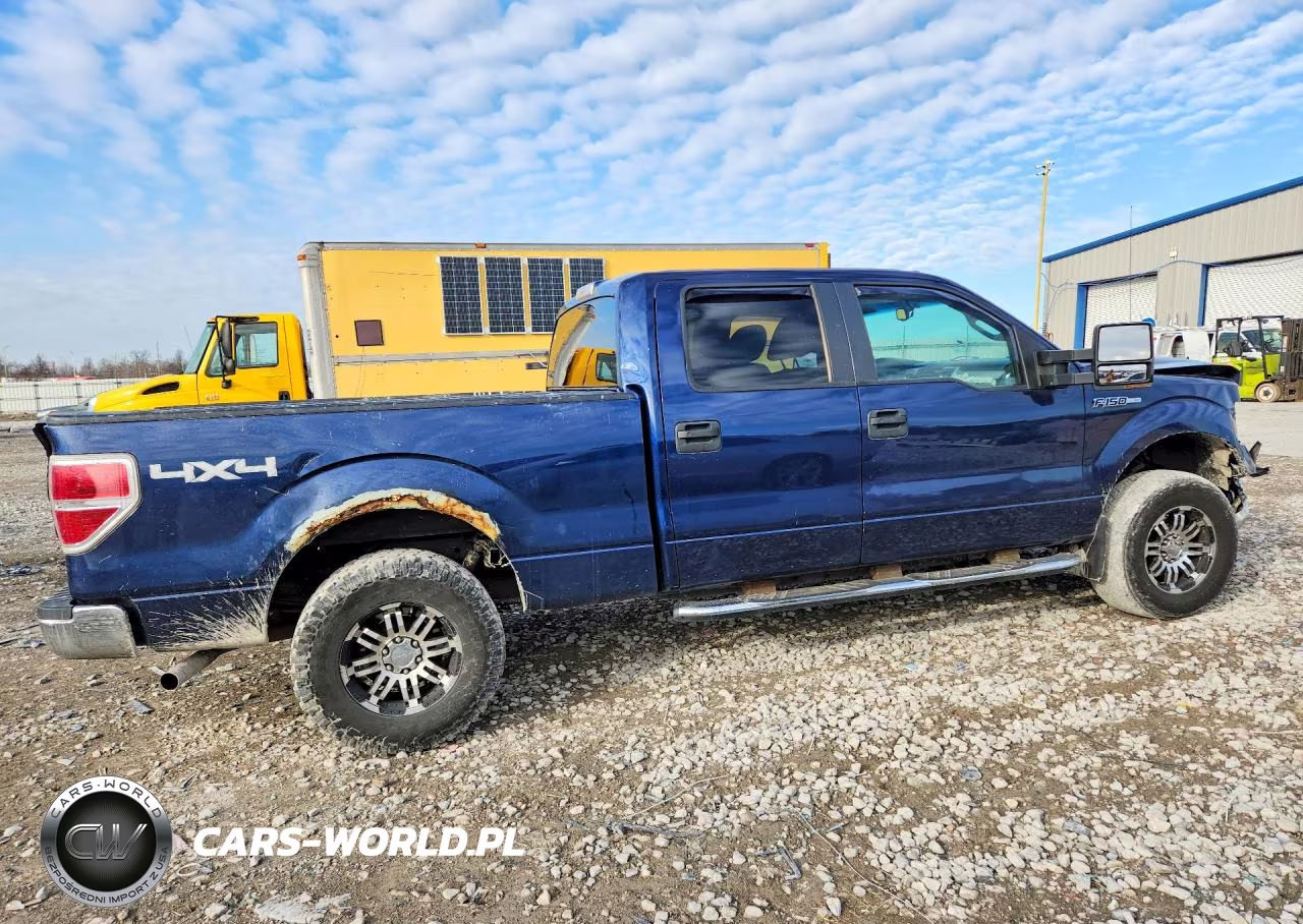 2009 Ford F150 Supercrew VIN:1FTPW14V39FB10320 - 3