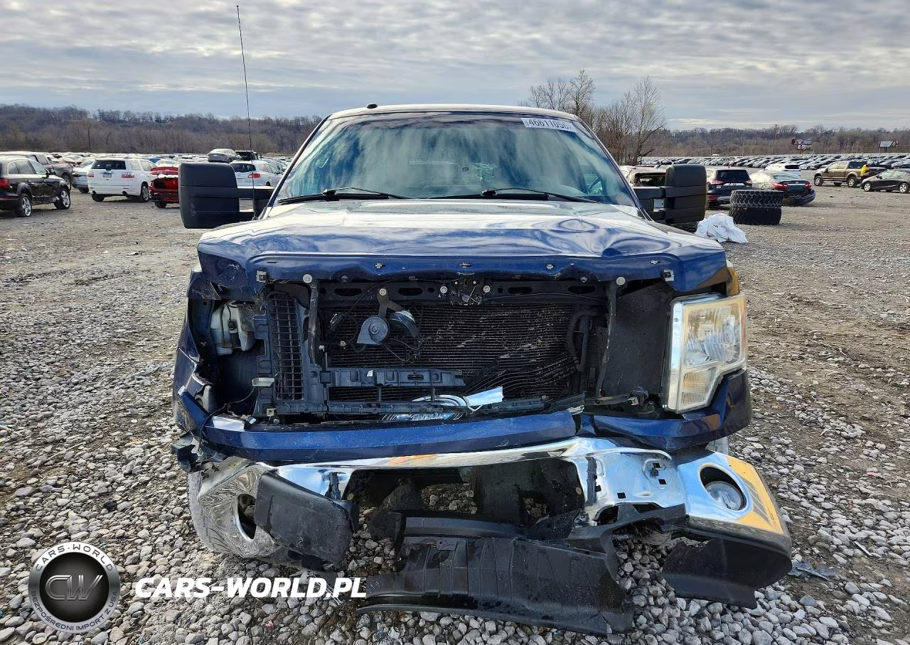 2009 Ford F150 Supercrew VIN:1FTPW14V39FB10320 - 5