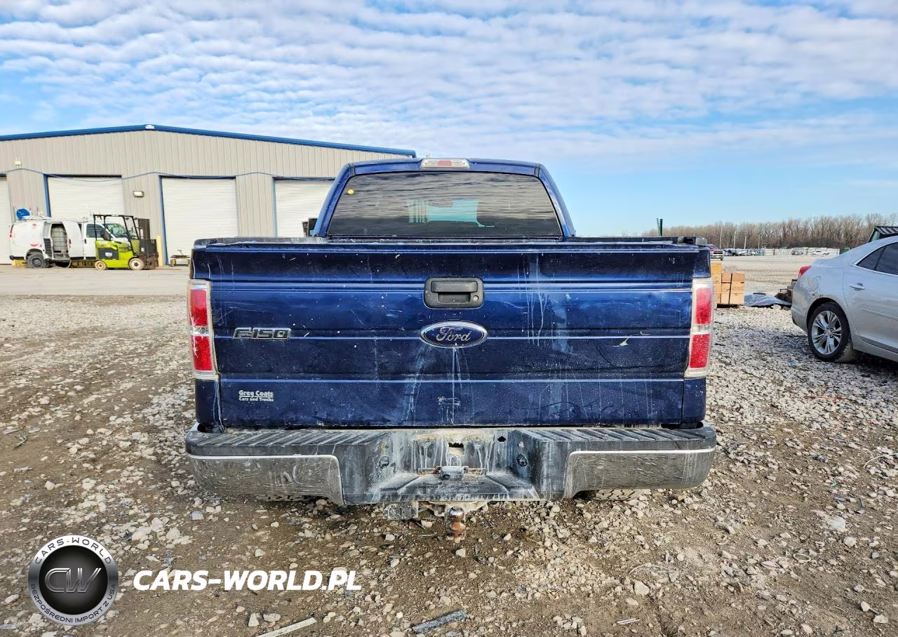 2009 Ford F150 Supercrew VIN:1FTPW14V39FB10320 - 6