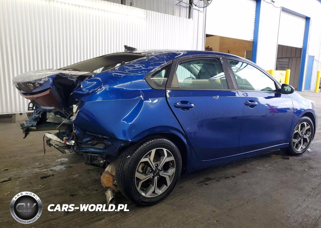2019 Kia Forte Lxs VIN:3KPF24AD5KE010322 - 3