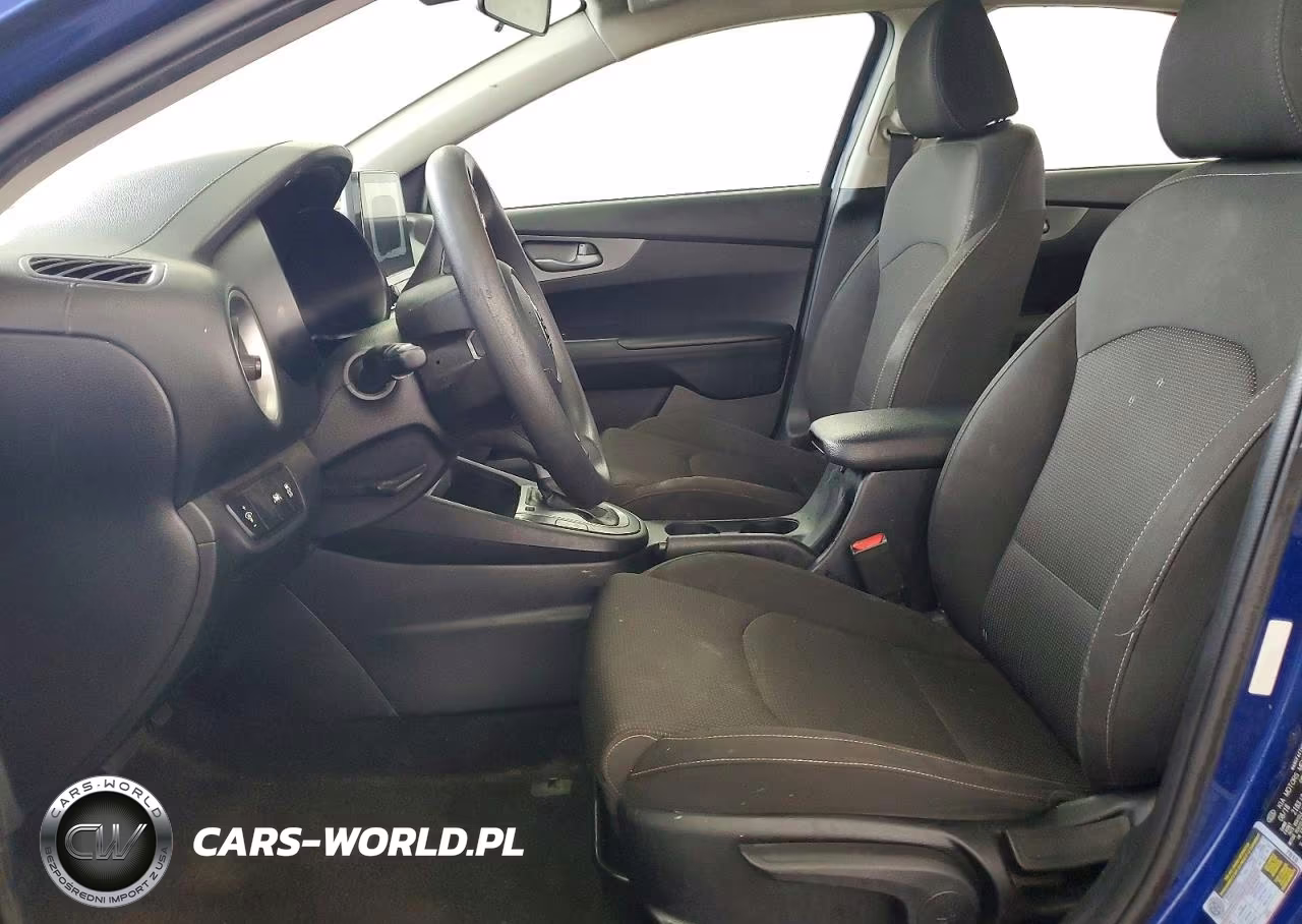 2019 Kia Forte Lxs VIN:3KPF24AD5KE010322 - 7