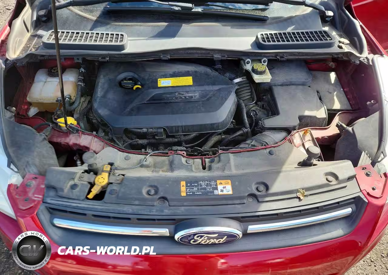2014 Ford Escape Se VIN:1FMCU9GX1EUA61183 - 12