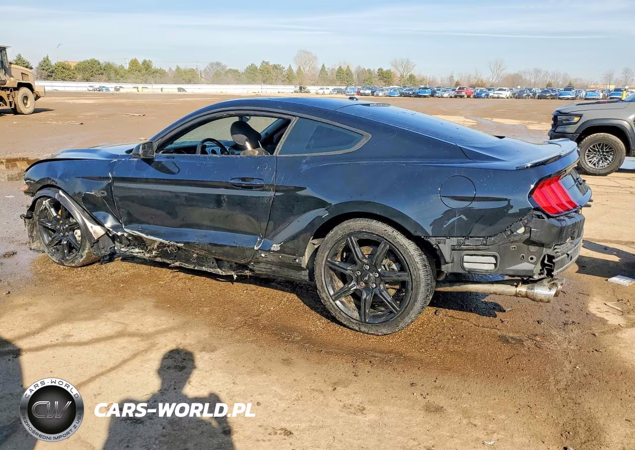 2019 Ford Mustang Gt VIN:1FA6P8CF1K5115299 - 2