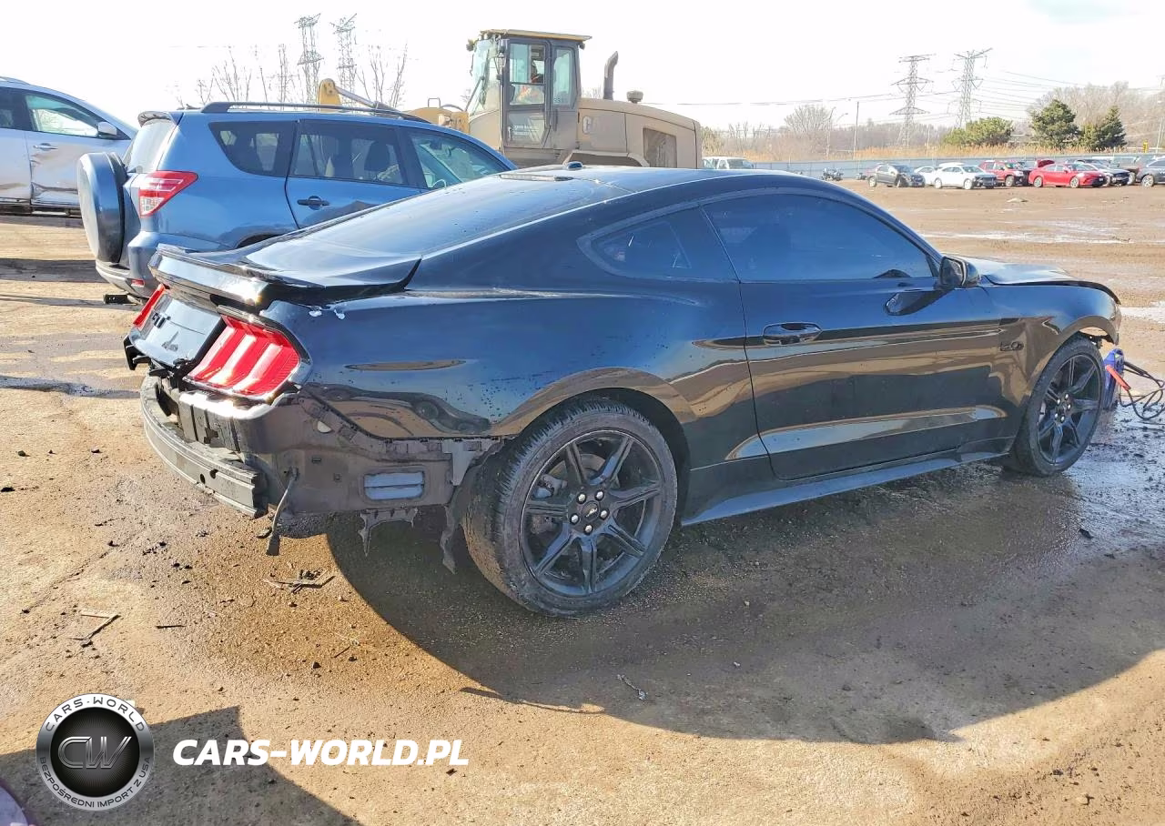 2019 Ford Mustang Gt VIN:1FA6P8CF1K5115299 - 3
