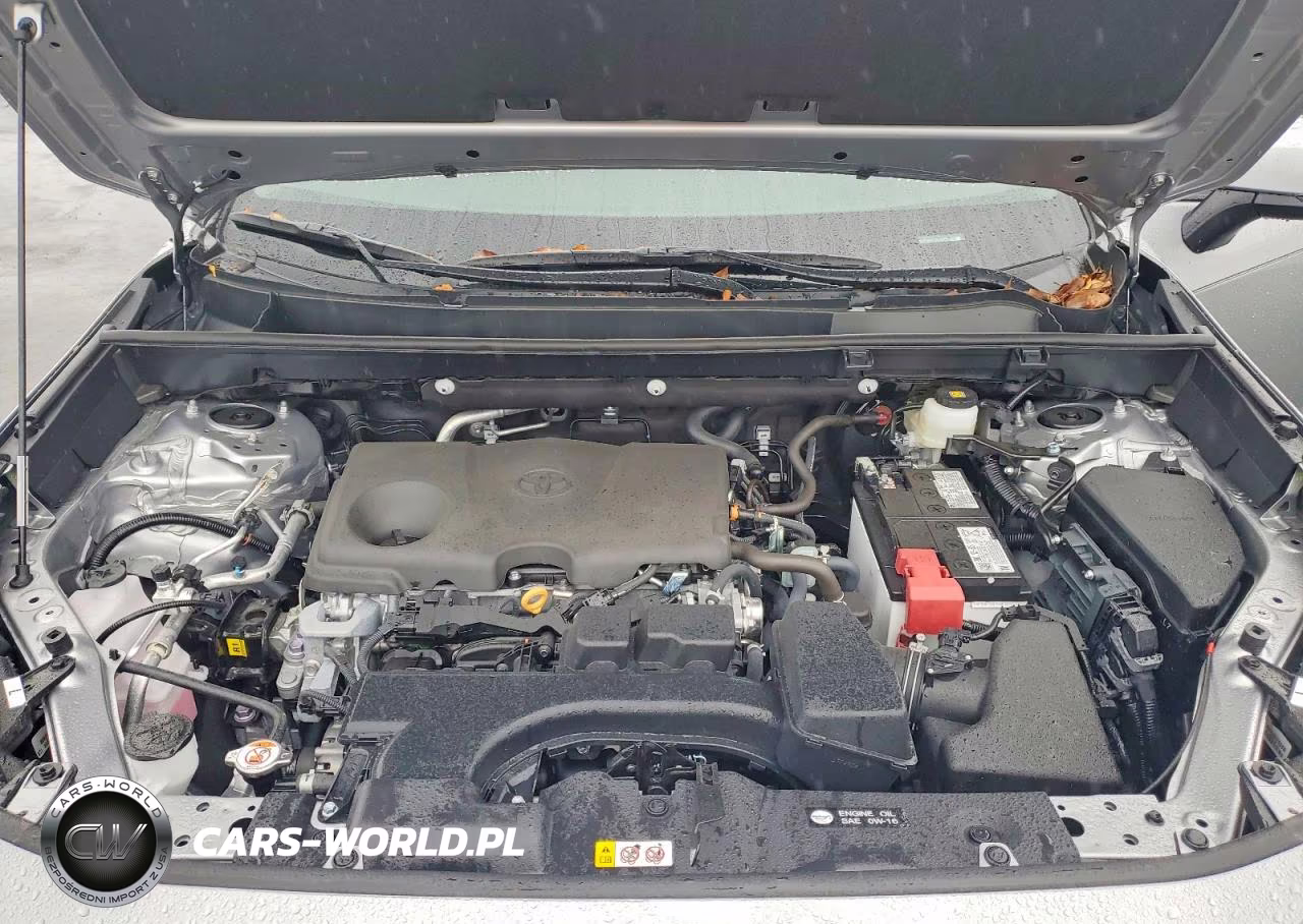 2025 Toyota Rav4 Xle VIN:2T3W1RFV8SC361085 - 12