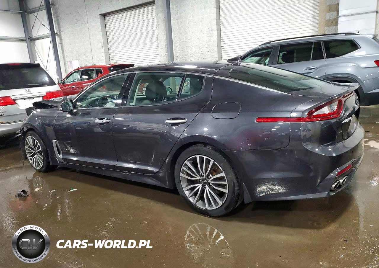 2019 Kia Stinger Base VIN:KNAE15LA2K6061481 - 2