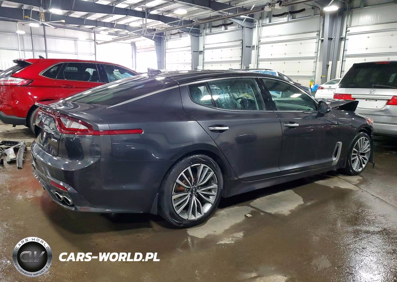 2019 Kia Stinger Base VIN:KNAE15LA2K6061481 - 3