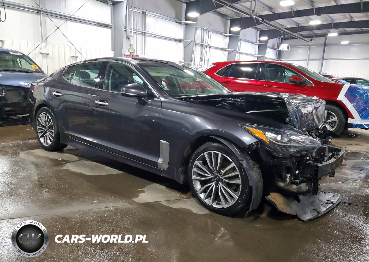 2019 Kia Stinger Base VIN:KNAE15LA2K6061481 - 4