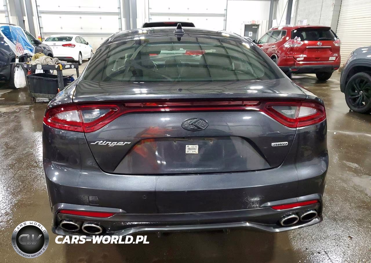 2019 Kia Stinger Base VIN:KNAE15LA2K6061481 - 6
