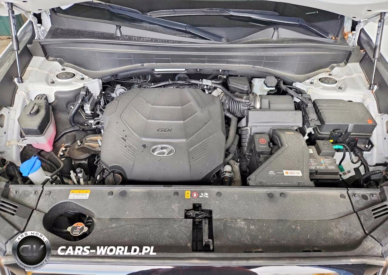 2024 Hyundai Palisade Xrt VIN:KM8R3DGEXRU798449 - 12