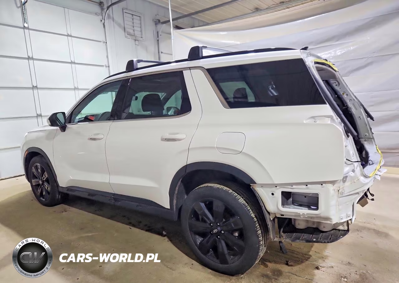 2024 Hyundai Palisade Xrt VIN:KM8R3DGEXRU798449 - 2