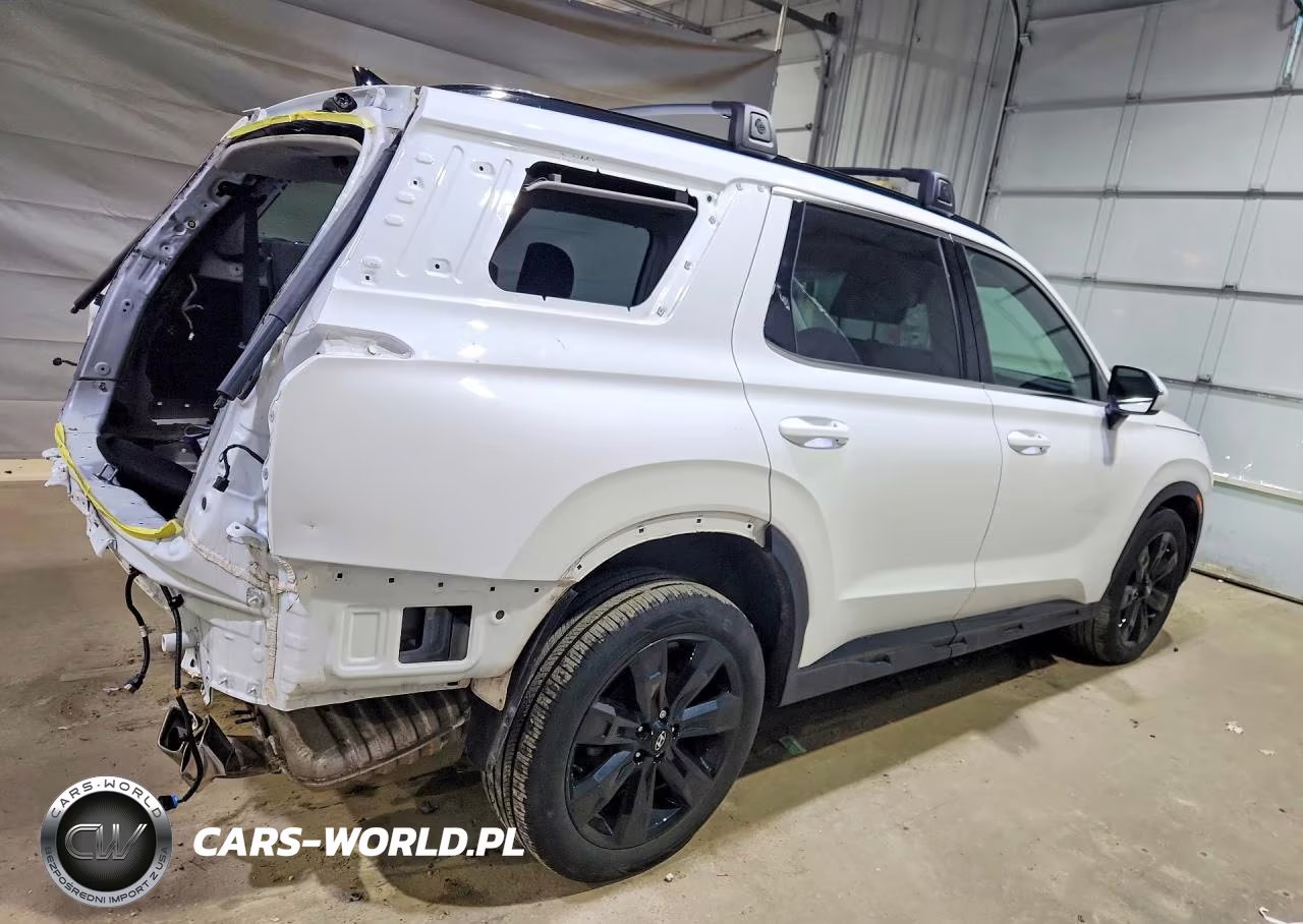 2024 Hyundai Palisade Xrt VIN:KM8R3DGEXRU798449 - 3