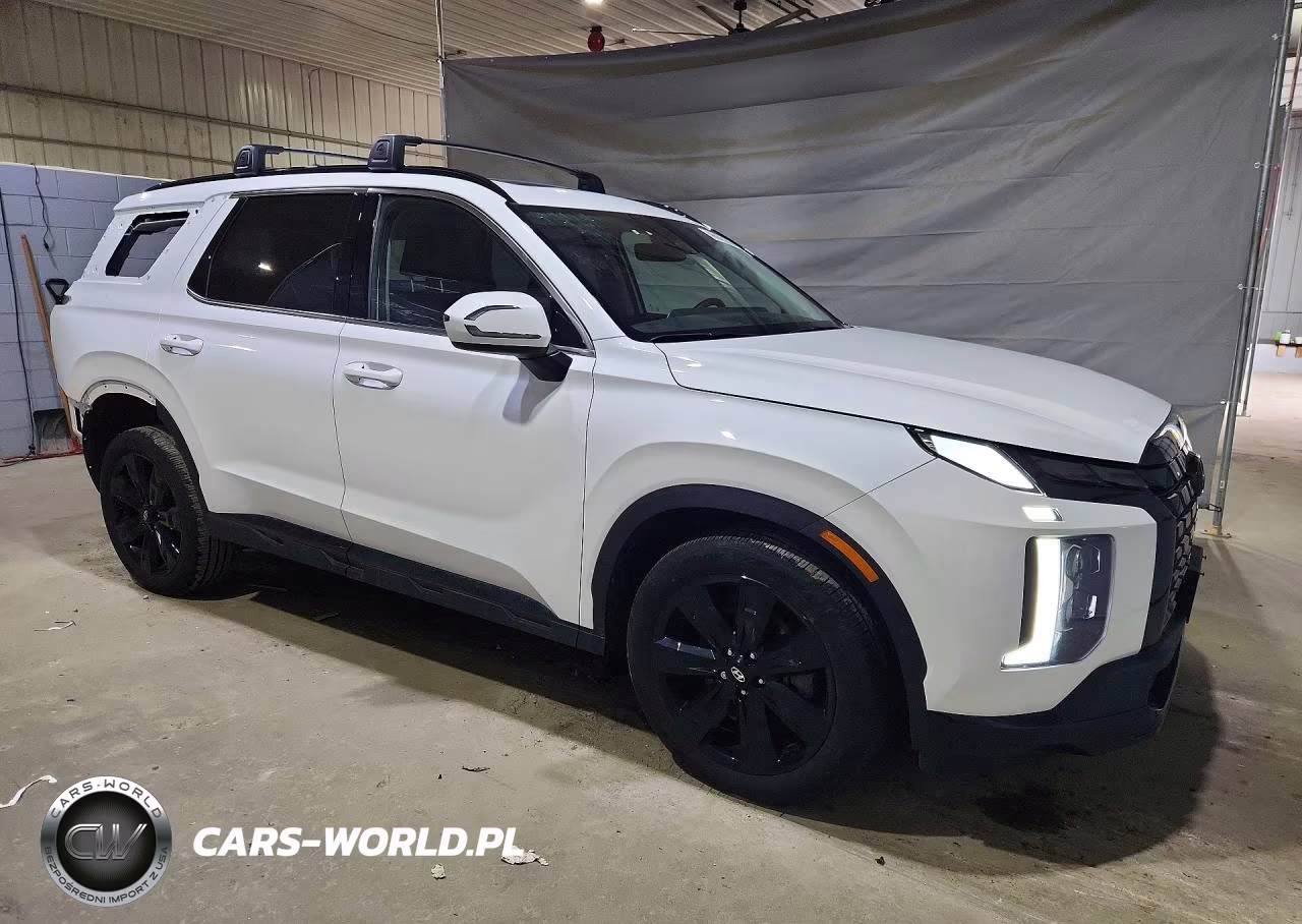 2024 Hyundai Palisade Xrt VIN:KM8R3DGEXRU798449 - 4