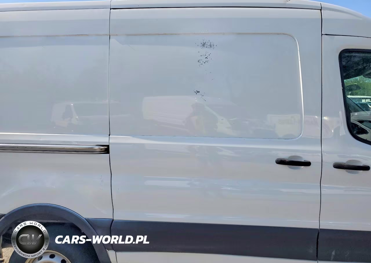 2020 Ford Transit 250 Delivery Van VIN:1FTBR1C89LKB69996 - 11
