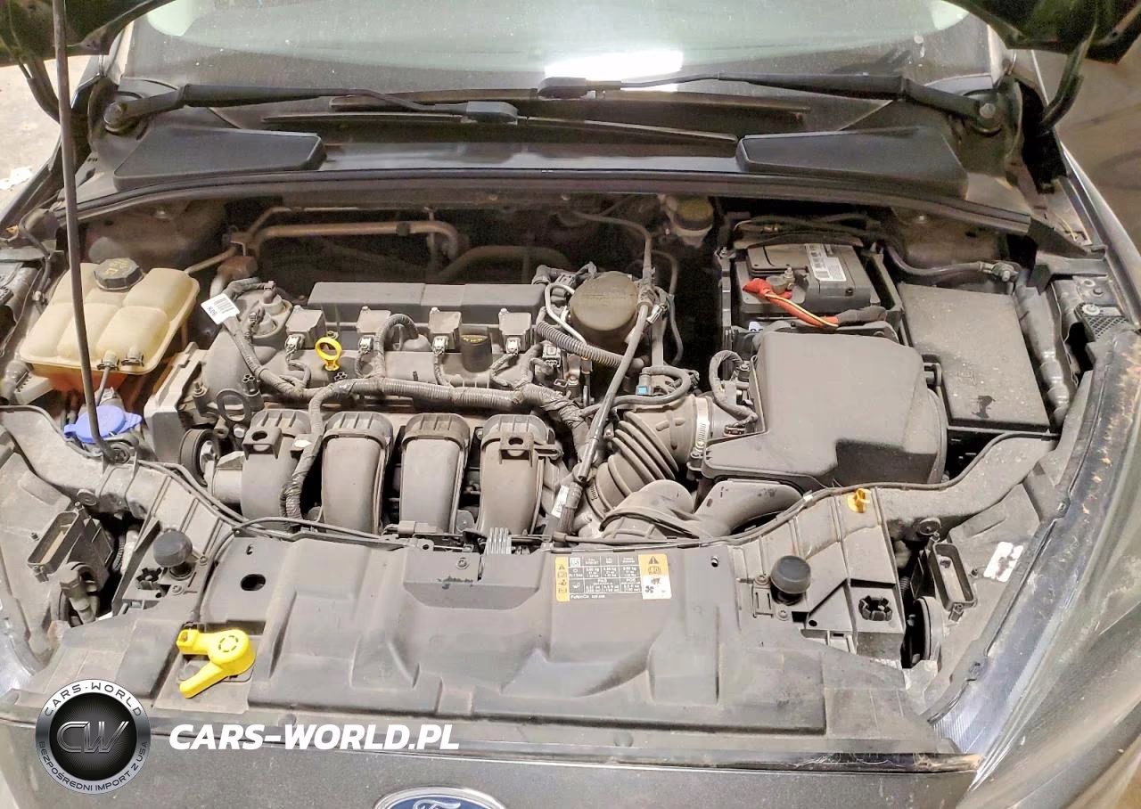 2016 Ford Focus Se VIN:1FADP3K25GL226370 - 11