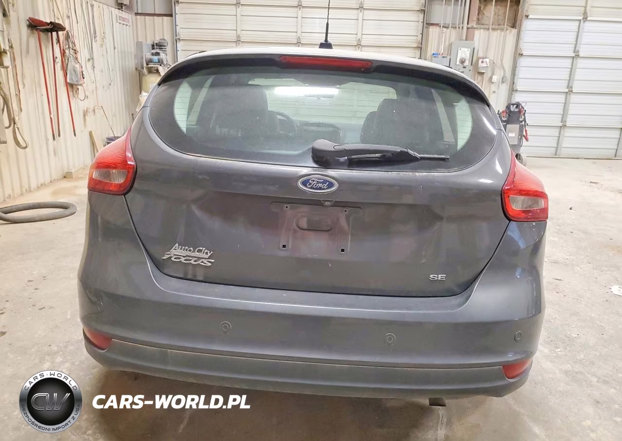 2016 Ford Focus Se VIN:1FADP3K25GL226370 - 6