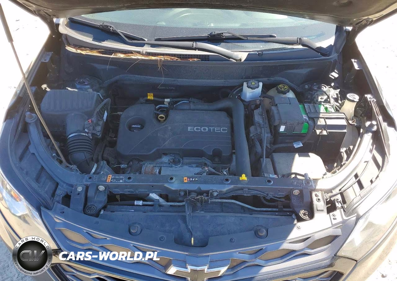 2019 Chev Equinox VIN:3GNAXUEV1KL103596 - 12
