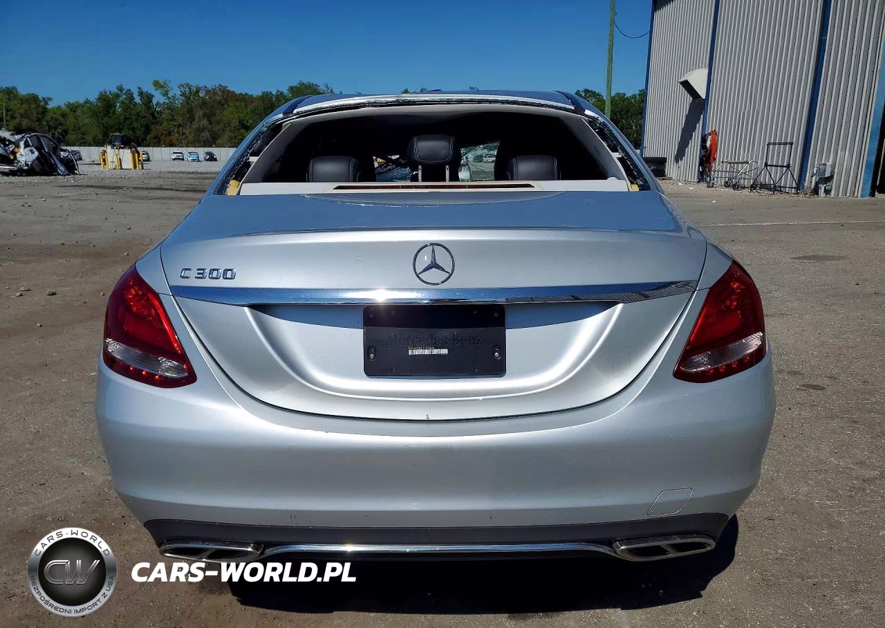 2016 Mercedes-Benz C 300 VIN:55SWF4JB4GU178438 - 6