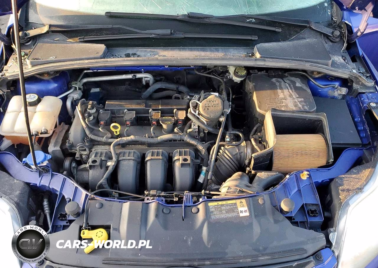 2013 Ford Focus Se VIN:1FADP3F29DL332293 - 11