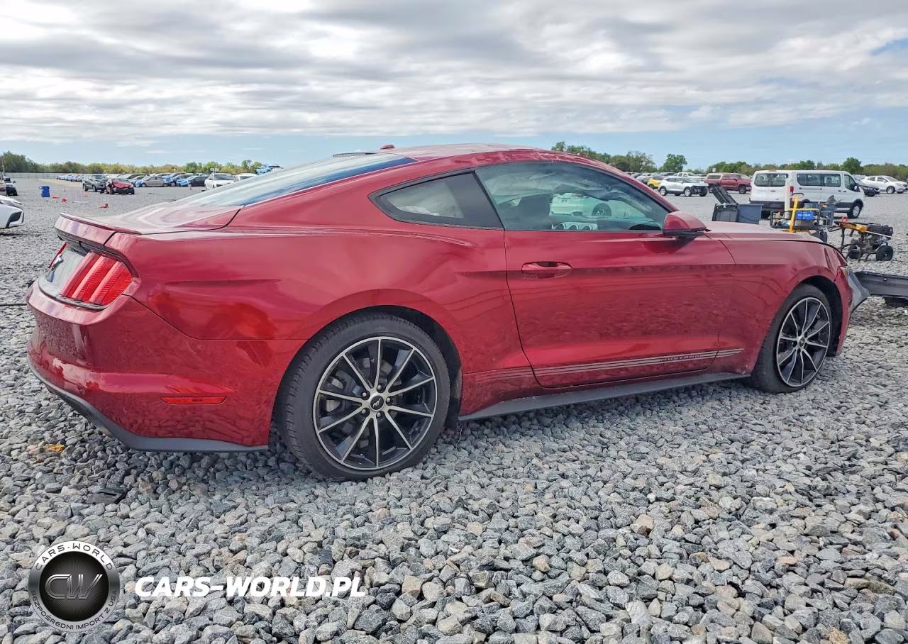 2016 Ford Mustang VIN:1FA6P8TH1G5205786 - 3