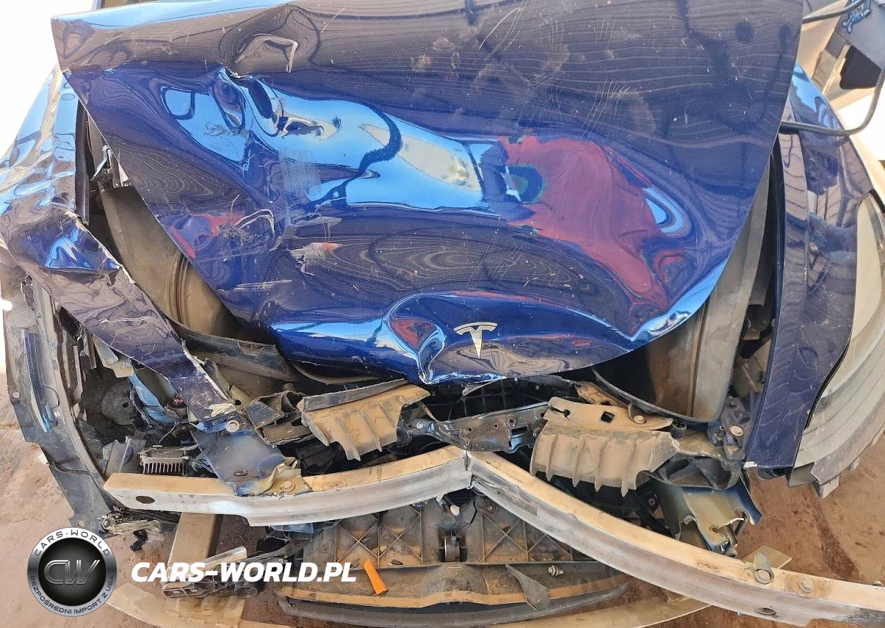 2021 Tesla Model 3 VIN:5YJ3E1EA9MF075325 - 11