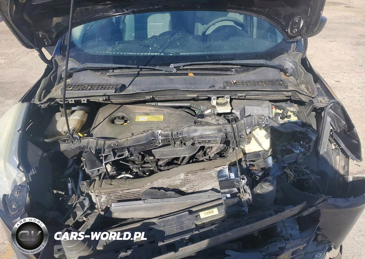 2013 Ford Escape Se VIN:1FMCU0GX5DUD79642 - 11