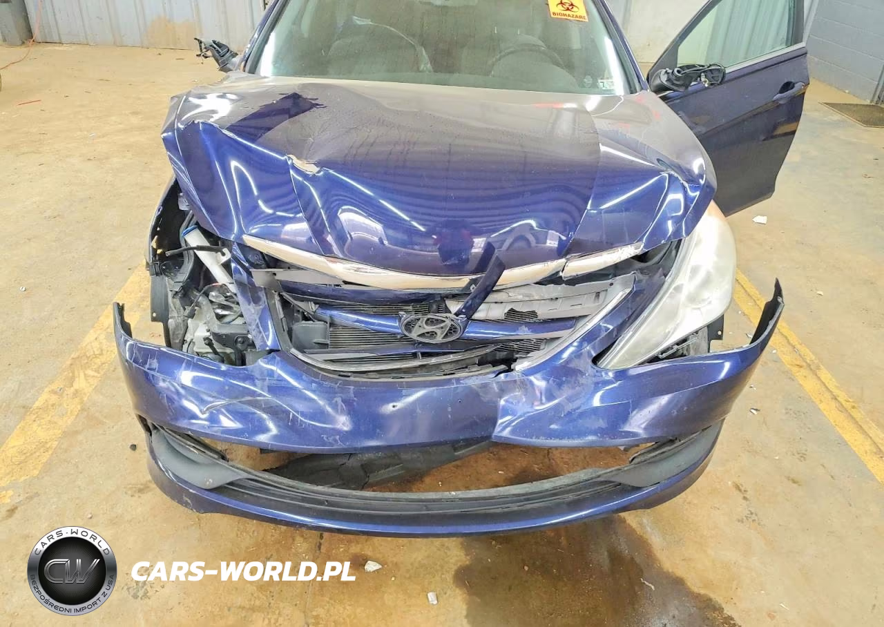 2014 Hyundai Sonata Gls VIN:5NPEB4AC6EH828595 - 11