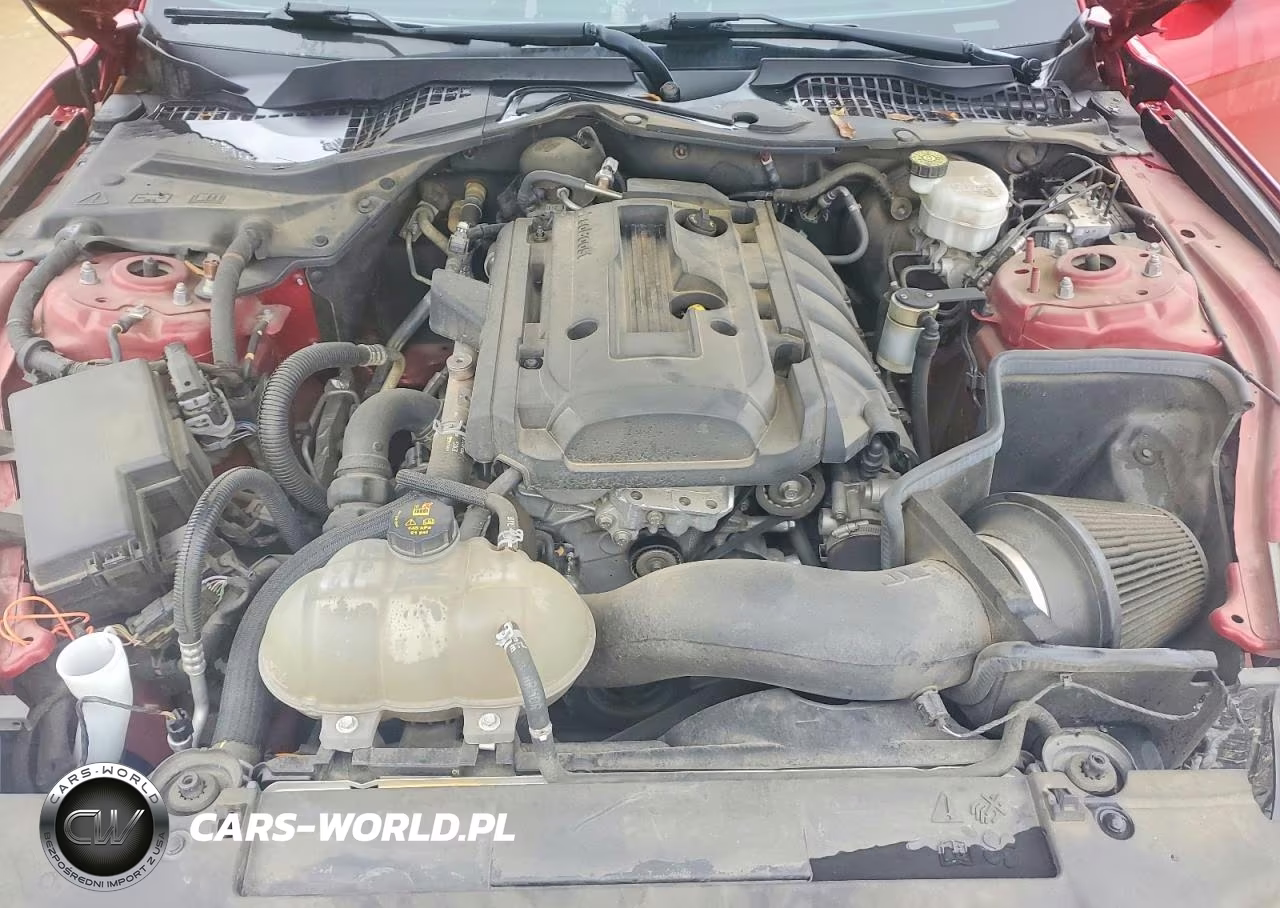 2020 Ford Mustang VIN:1FA6P8TH4L5188248 - 11