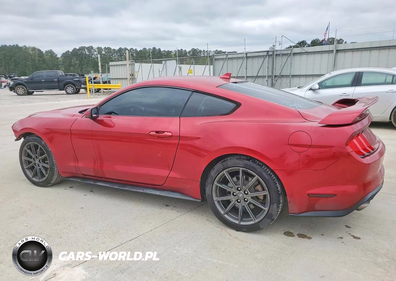 2020 Ford Mustang VIN:1FA6P8TH4L5188248 - 2