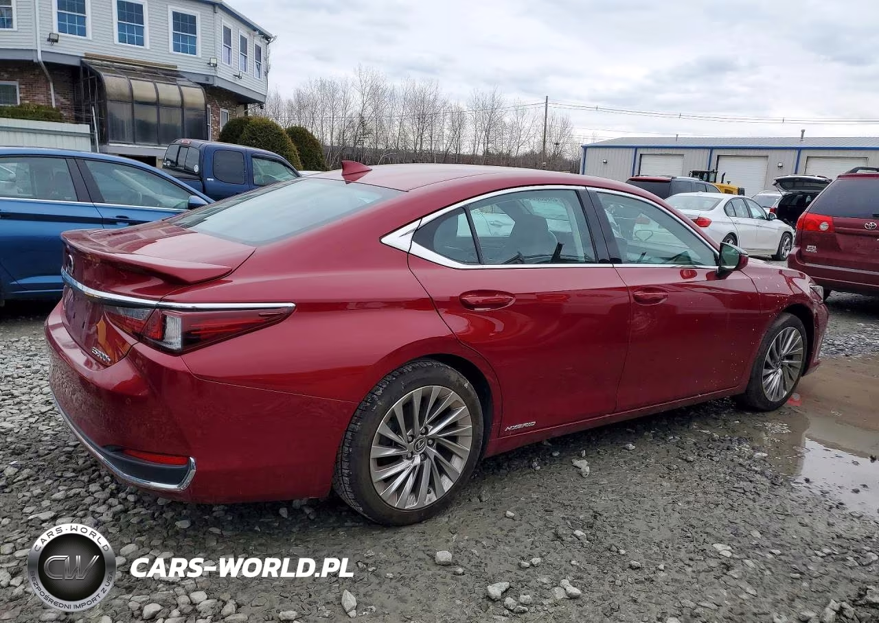 2022 Lexus Es 300H Luxury VIN:58AEA1C16NU017497 - 3
